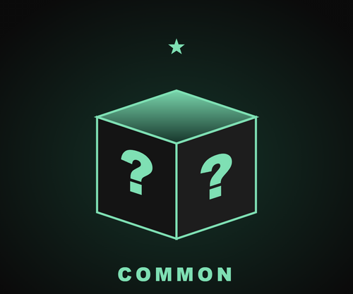 Creek Crate - Common Mystery Box